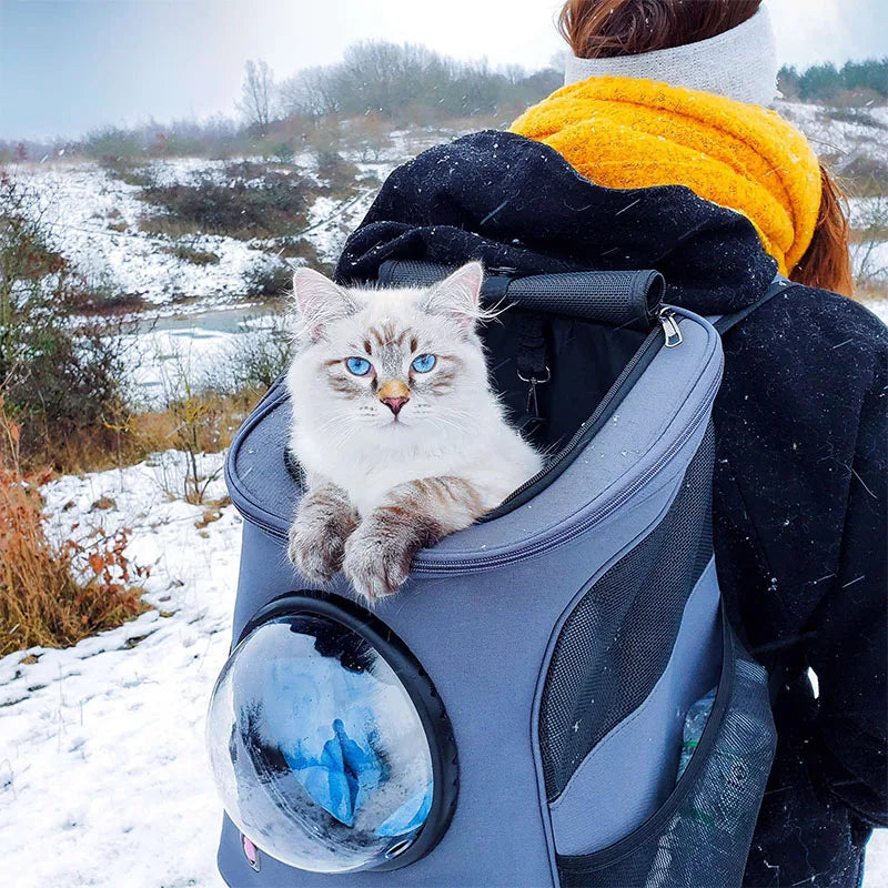 Clear Cat Carrier