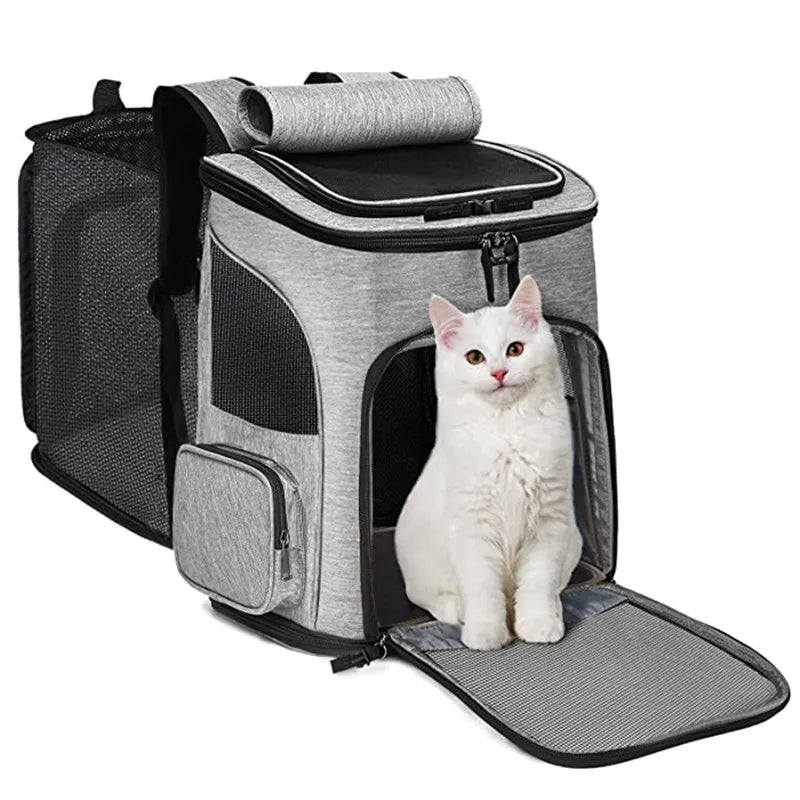 Large Clear Cat Backpack