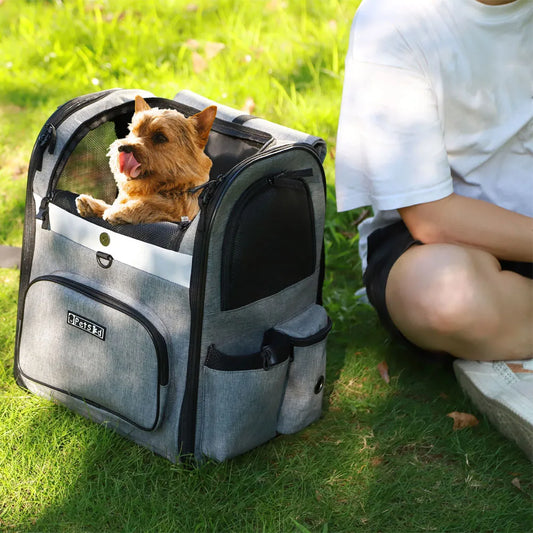 Cat Carrier See Through Backpack