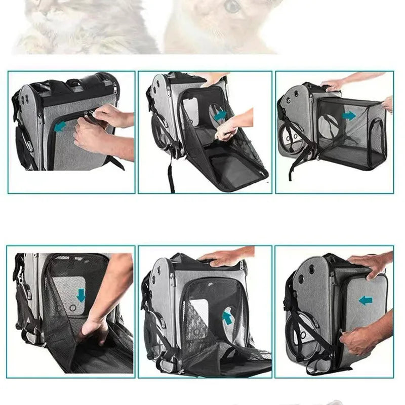 Cat Carrier See Through