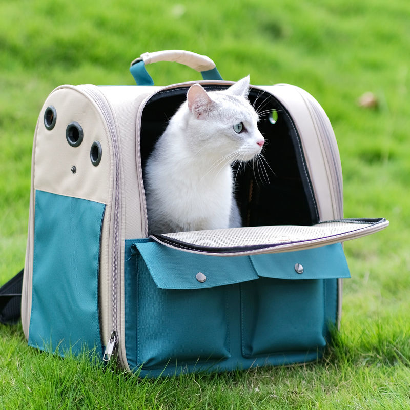 Mesh Cat Backpack