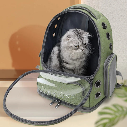 Clear Plastic Cat Backpack