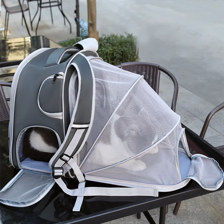 See Through Cat Carrier