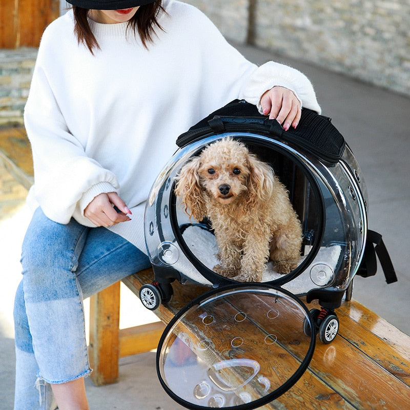 Transparent Cat Carrier With Wheels