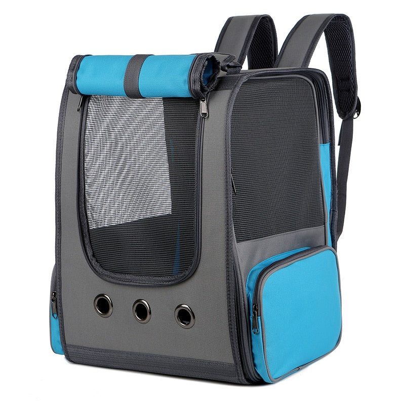 Blue Cat Backpack Clear