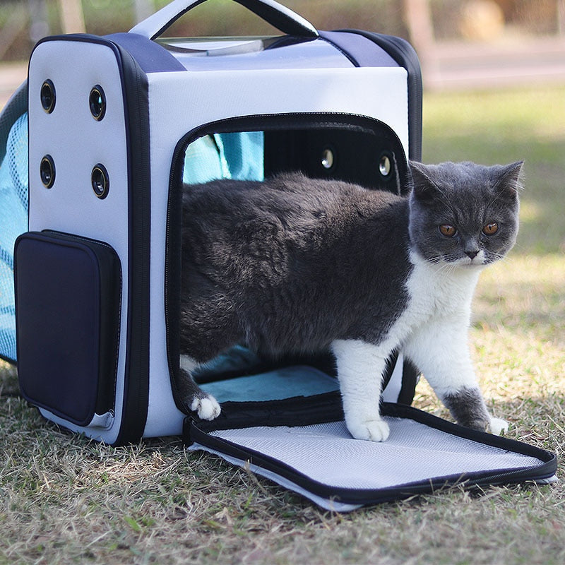 Clear Cat Backpack Carrier